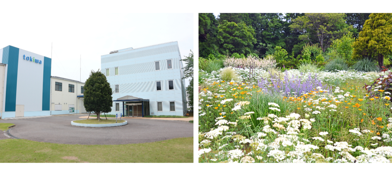 千葉県佐倉市にある本社（左）と本社に併設された約10,000㎡の佐倉ハーブ園（右）