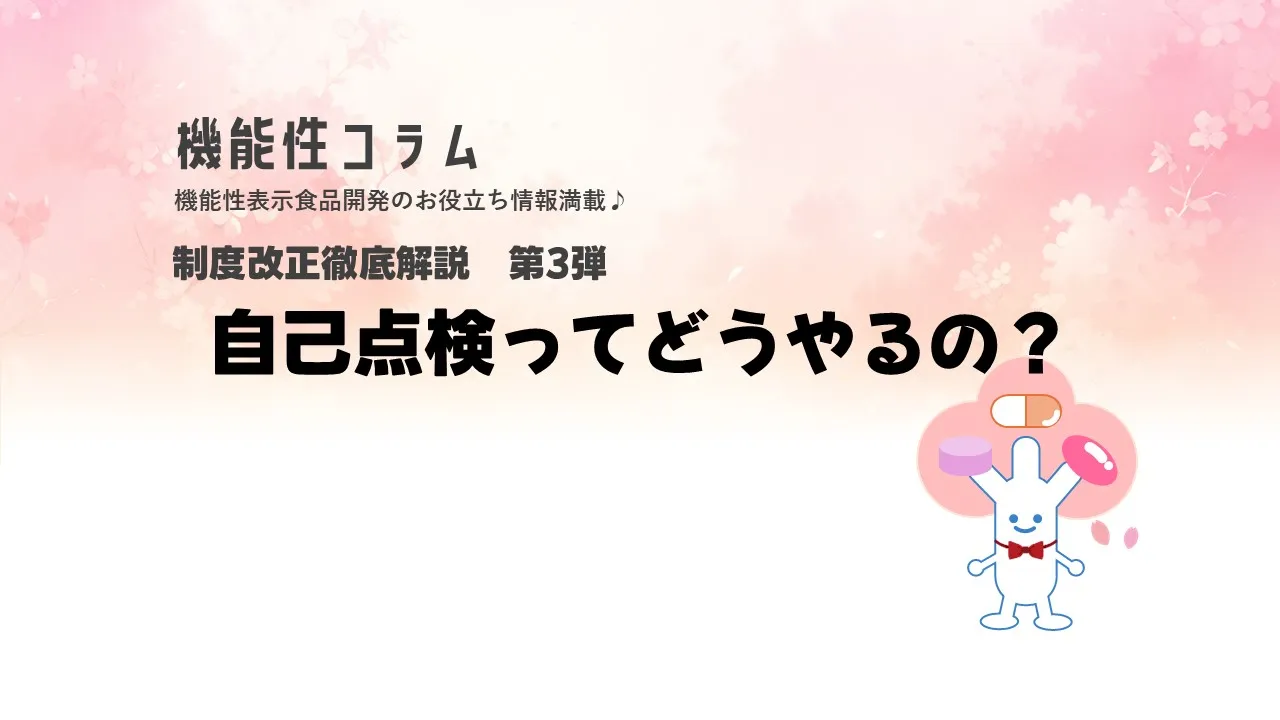 制度改正徹底解説　第3弾　自己点検ってどうやるの？